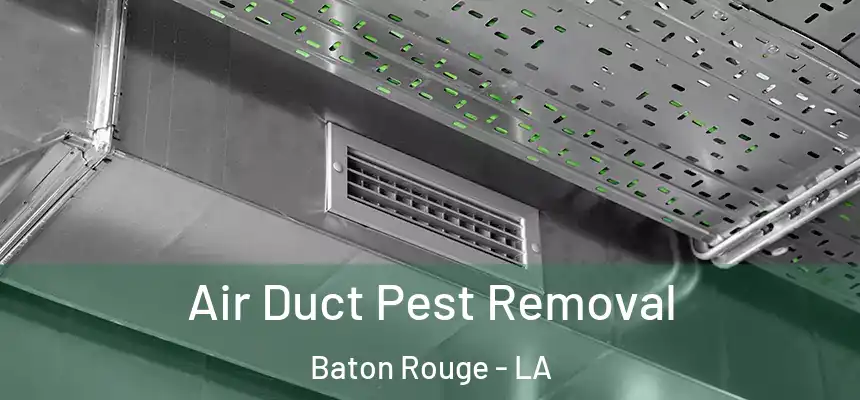 Air Duct Pest Removal Baton Rouge - LA