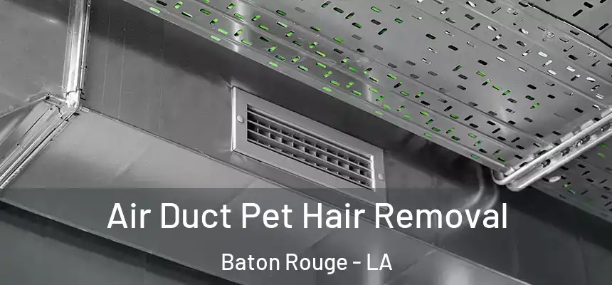 Air Duct Pet Hair Removal Baton Rouge - LA