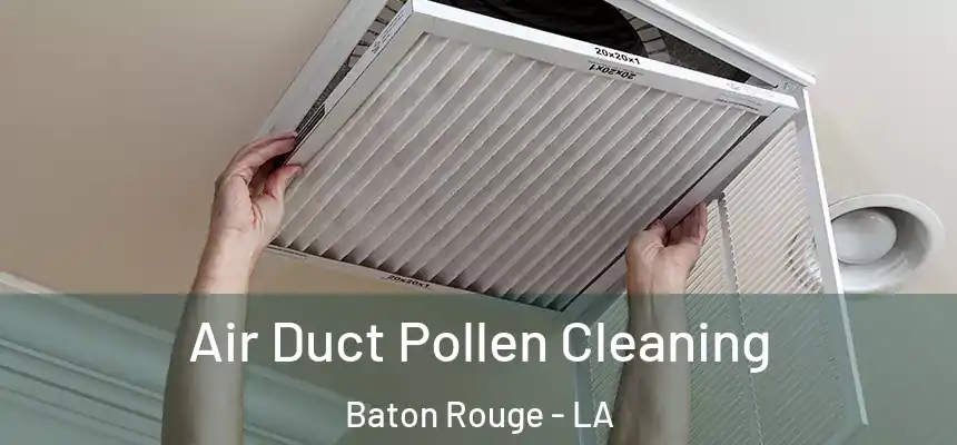 Air Duct Pollen Cleaning Baton Rouge - LA