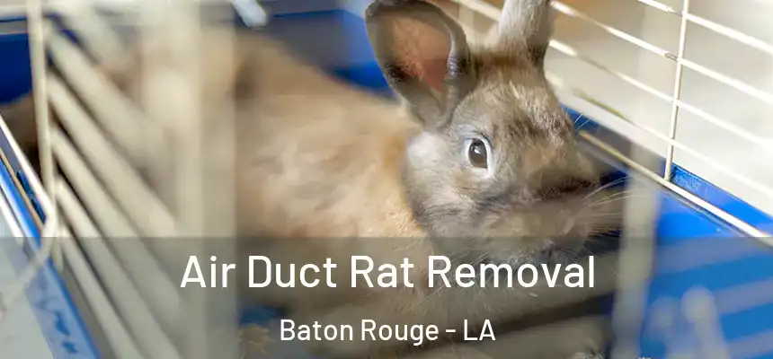 Air Duct Rat Removal Baton Rouge - LA