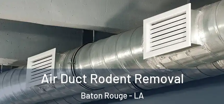 Air Duct Rodent Removal Baton Rouge - LA