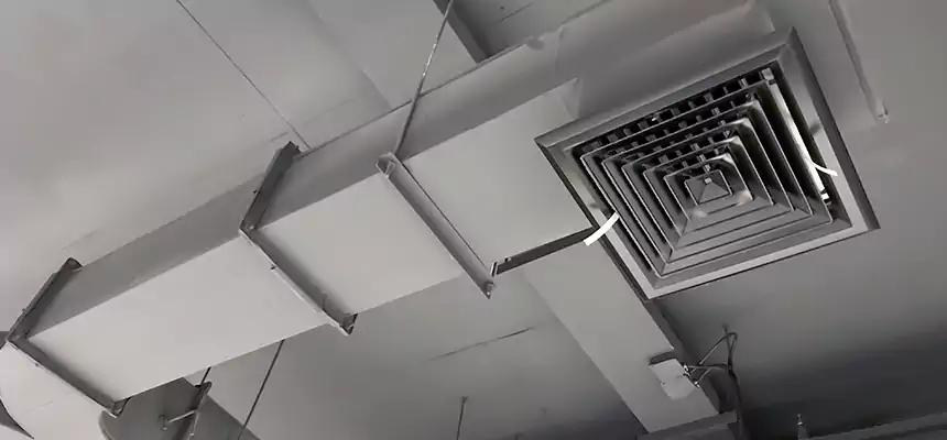 Restorative Allergy Relief Vent Cleaning – Coil, Blower & Housing Detail in Baton Rouge