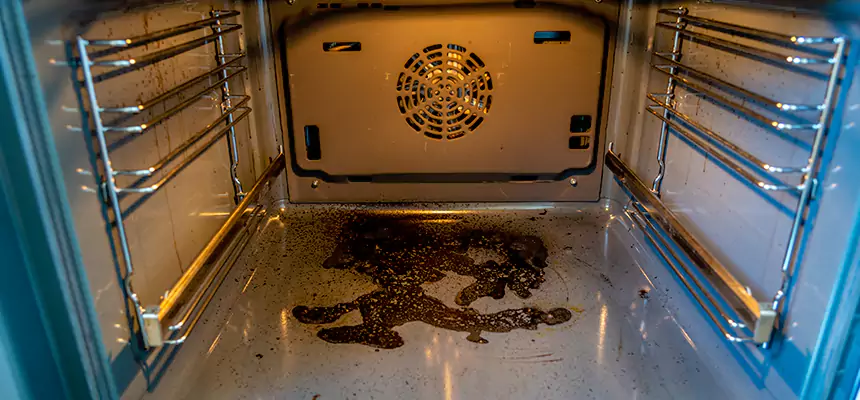 Our Dryer Vent Mold Cleaning Services in Baton Rouge, LA