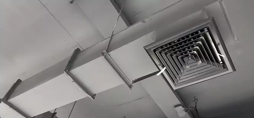 Our Rodent Droppings In Vents Services in Baton Rouge, LA