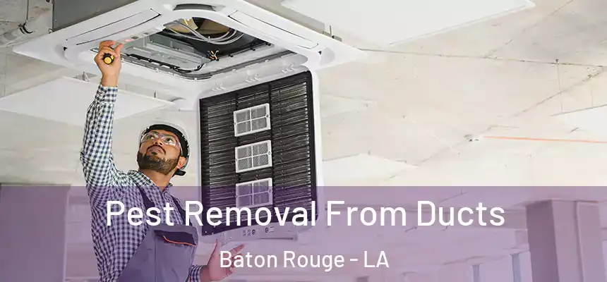 Pest Removal From Ducts Baton Rouge - LA