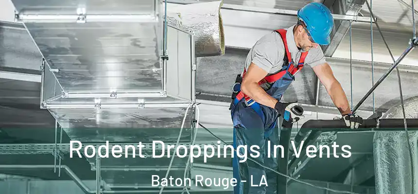 Rodent Droppings In Vents Baton Rouge - LA