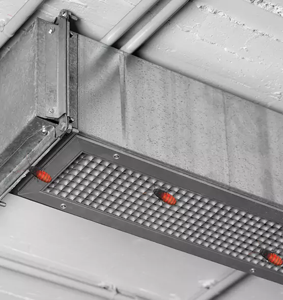 About Air Duct Cockroach Removal in Baton Rouge, LA