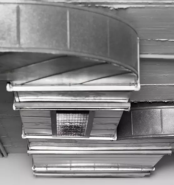 Professional Air Duct Pet Hair Removal in Baton Rouge, LA