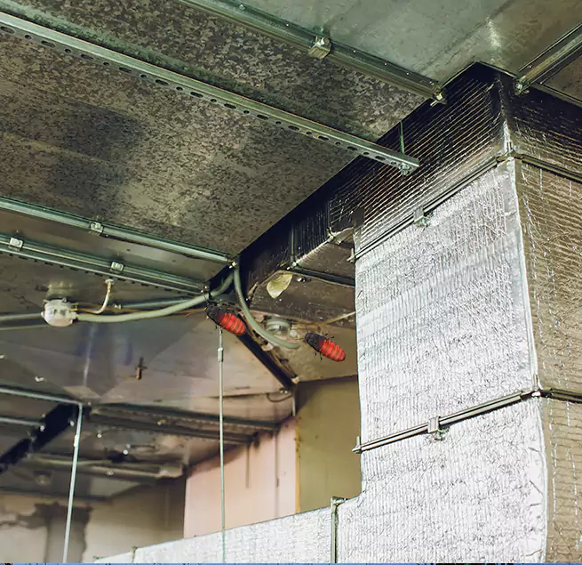 Why Homeowners & Businesses Trust Us in Baton Rouge, LA?