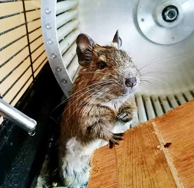 Why Homeowners & Businesses Trust Us Baton Rouge, LA?