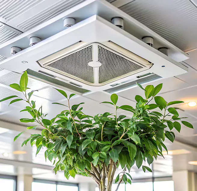 Why Homeowners & Businesses Trust Us in Baton Rouge, LA