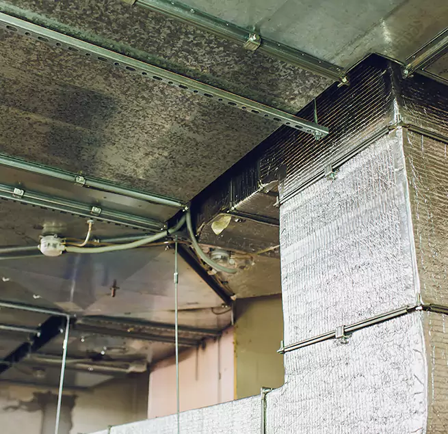 Why Homeowners & Businesses Trust Us in Baton Rouge, LA?